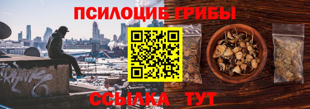 Галлюциногенные грибы GOLDEN TEACHER  Вход с VPN  Бугуруслан 